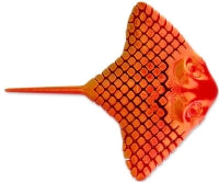3D Printed Stingray Assorted