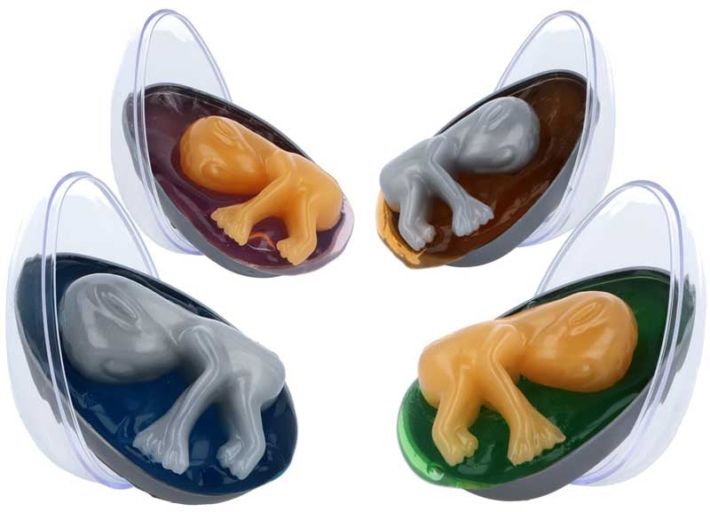alien-egg-with-baby-large