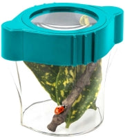 Bug Safari
