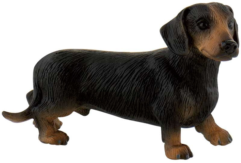 Bullyland - Shorthair Dachshund Apollo 65441