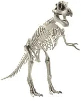 Dinosaur Skeletons Assorted