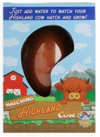 Egg 6cm Growing Highland Cow