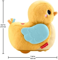 Fisher - Price 4 - In - 1 Flap & Follow Duck