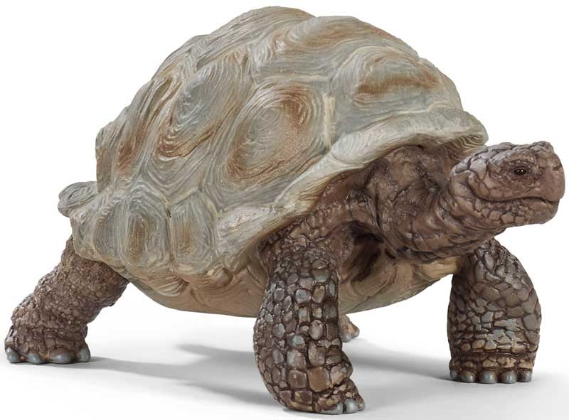 Schleich Giant Tortoise