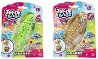 Colour Change Lizards Assorted
