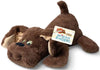 Pound Puppies Weighted Snuggles Plush - Dark Bown With Long