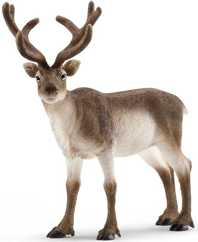 Schleich Reindeer