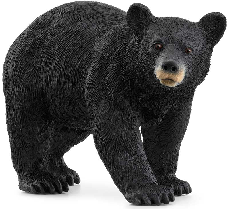 Schleich American Black Bear