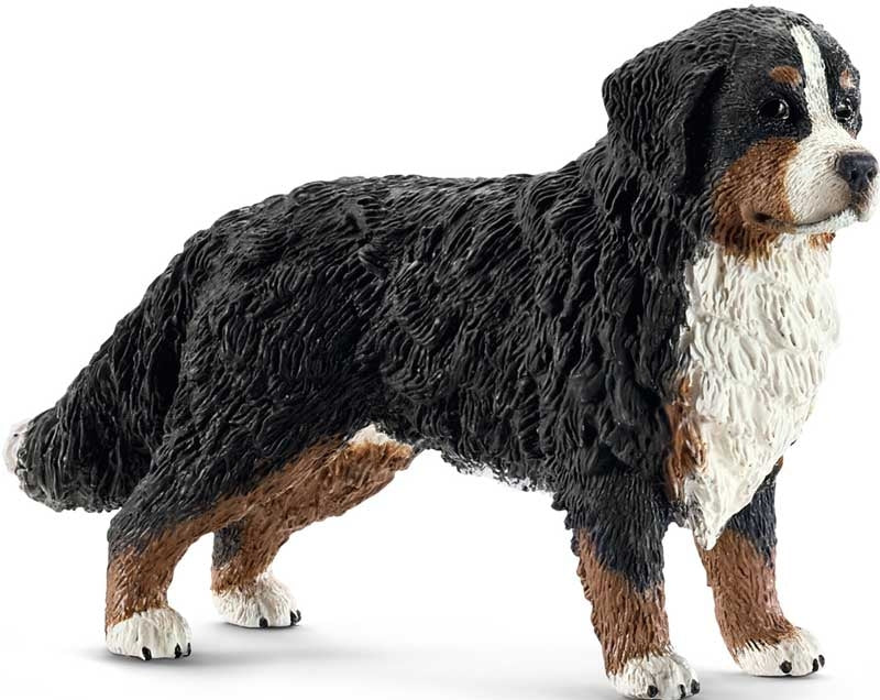 Schleich Bernese Mountain Dog Female