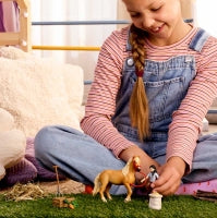 Schleich Emilys Care Set