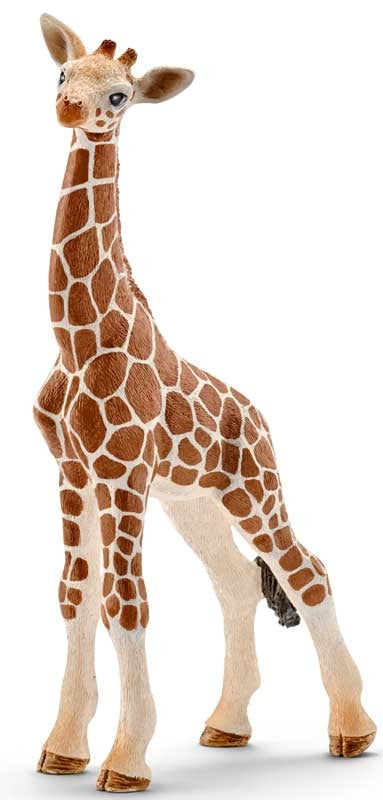 Schleich Giraffe Calf