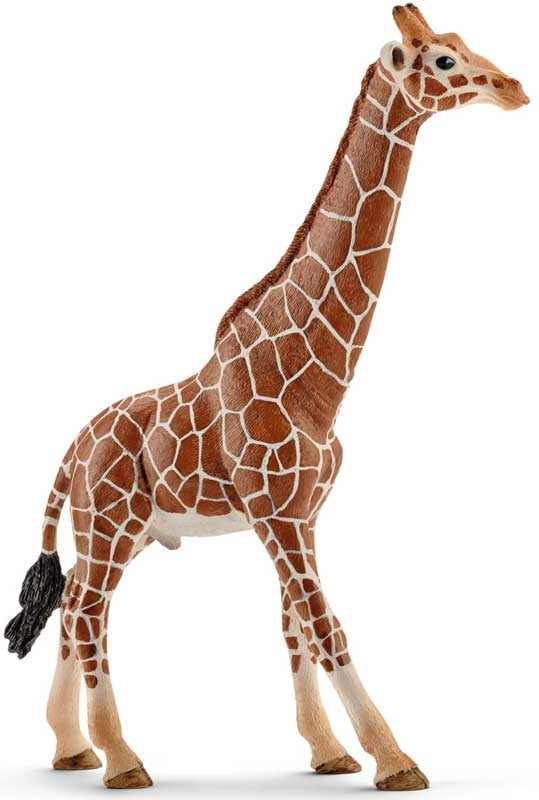 Schleich Giraffe Male