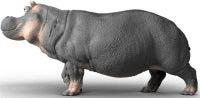 Schleich Hippopotamus