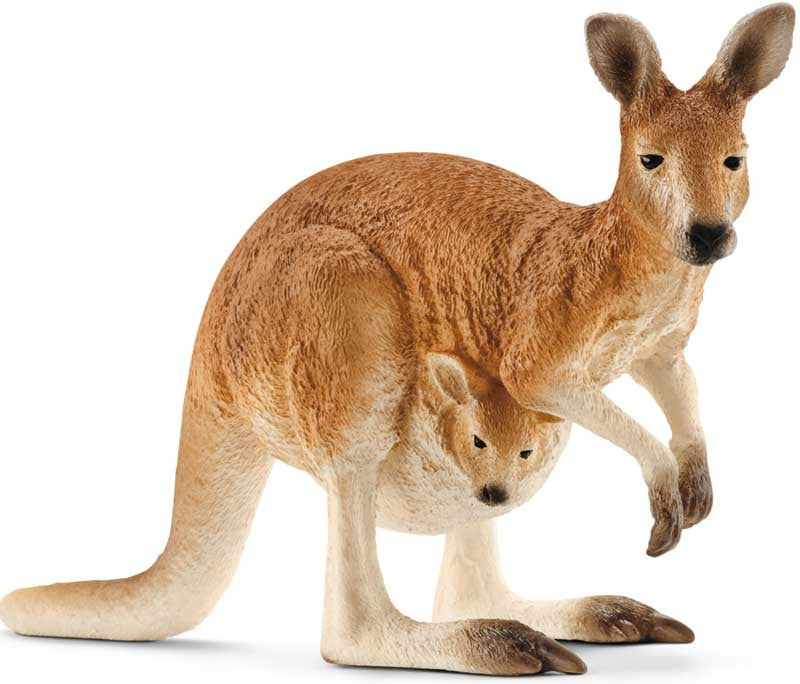Schleich Kangaroo