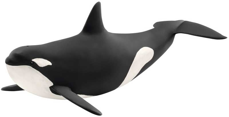 Schleich Killer Whale