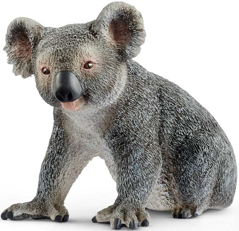 Schleich Koala Bear
