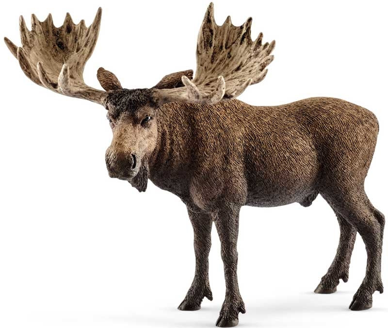 Schleich Moose Bull