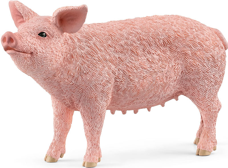 Schleich Pig