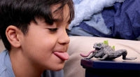 Schleich Stone Toad