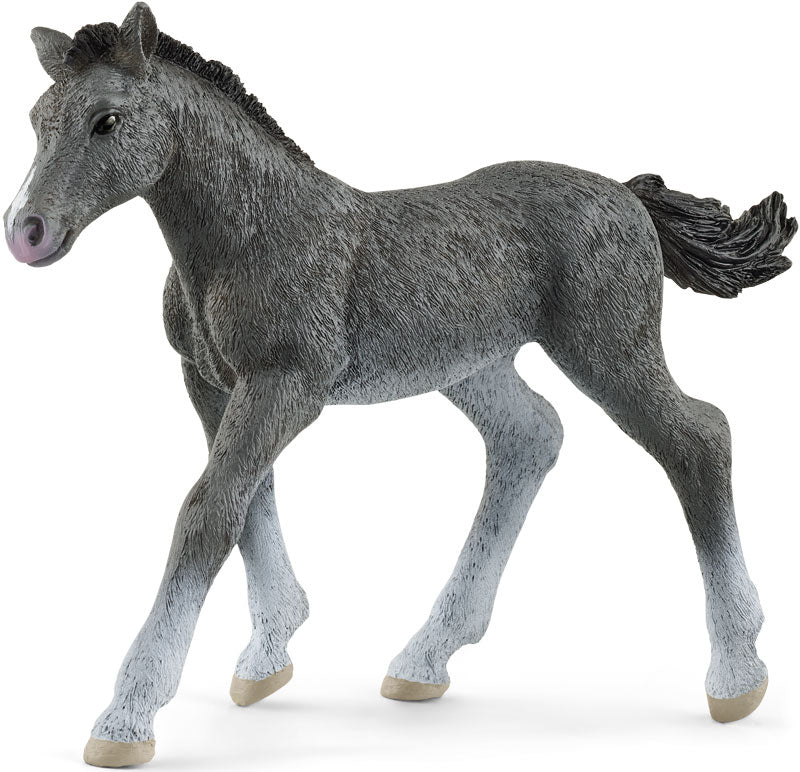 Schleich Trakehner Foal