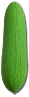 Scrunchems Jumbo Squishy Pickle