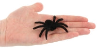 Spider Furry Black