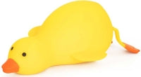 The Big Squij Duck