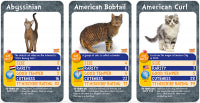 Top Trumps Cats - Who Is The Most Mischievous