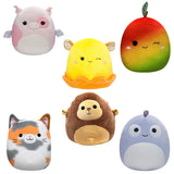 Squishmallows 20cm Plush Toys (6 Characters, Collect Them All)