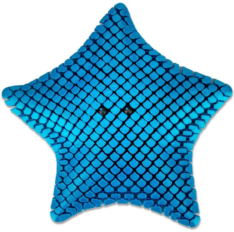 3D Printed Starfish Assorted