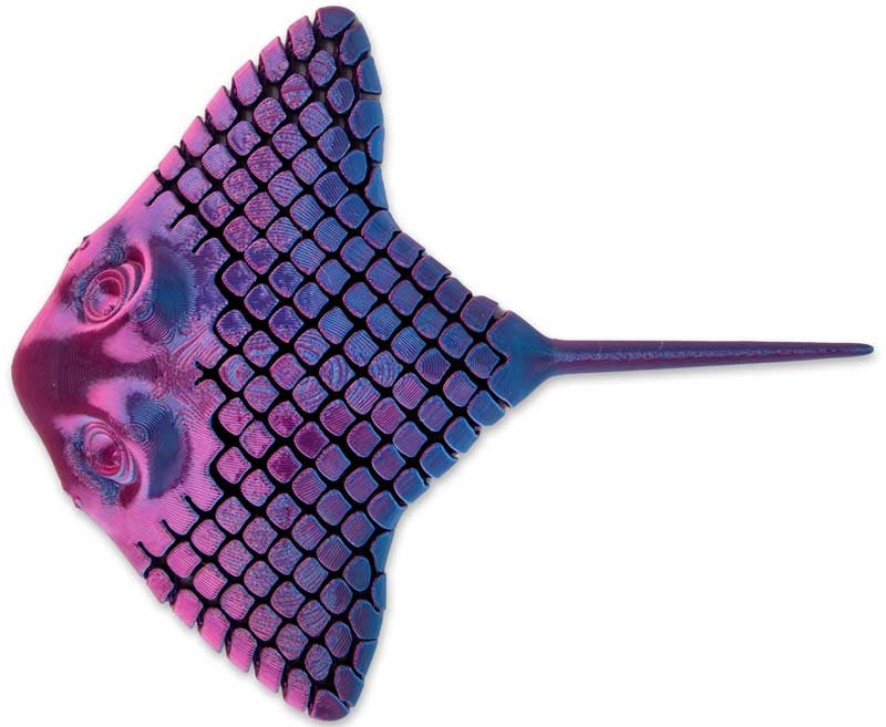 3D Printed Stingray Assorted