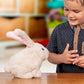 Animigos Bouncing Bunny Rabbit