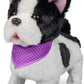 Animigos Fancy French Bulldog Dog