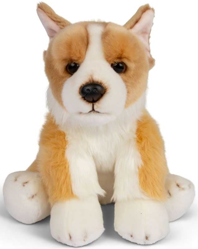Animigos World Of Nature 30cm Corgi