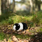 Animigos World Of Nature Black &amp; White Guinea Pig