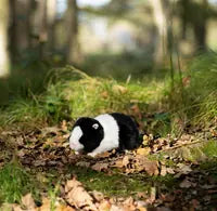 Animigos World Of Nature Black &amp; White Guinea Pig