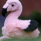 Animigos World Of Nature Flamingo