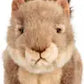 Animigos World Of Nature Grey Squirrel