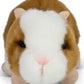 Animigos World Of Nature Hamster
