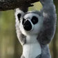 Animigos World Of Nature Hanging Ring Tailed Lemur