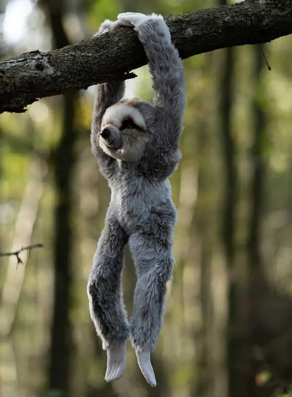 animigos-world-of-nature-hanging-sloth