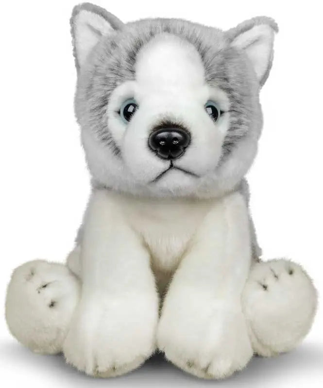 Animigos World Of Nature Husky Dog