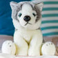 Animigos World Of Nature Husky Dog