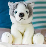 Animigos World Of Nature Husky Dog