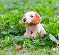 Animigos World Of Nature Mini Cockapoo