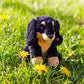 Animigos World Of Nature Mini Dachshund