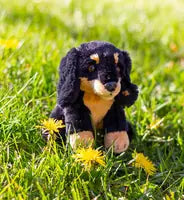 Animigos World Of Nature Mini Dachshund