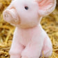 Animigos World Of Nature Piglet Assorted