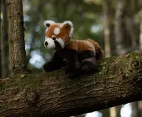 Animigos World Of Nature Red Panda