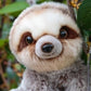 Animigos World Of Nature Sloth